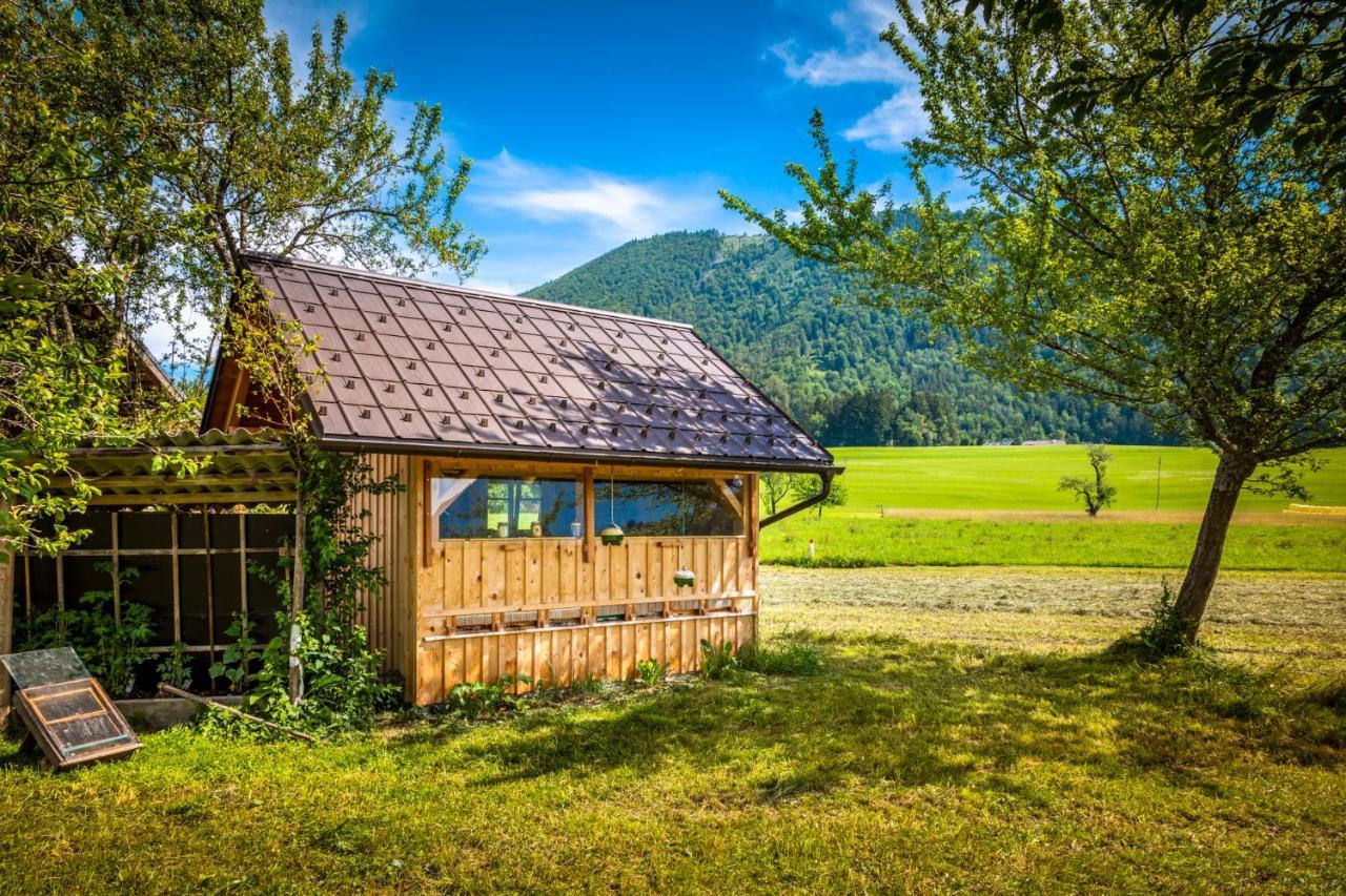 Biohof Untergrabenbauer Lägenhet Lidaun Exteriör bild