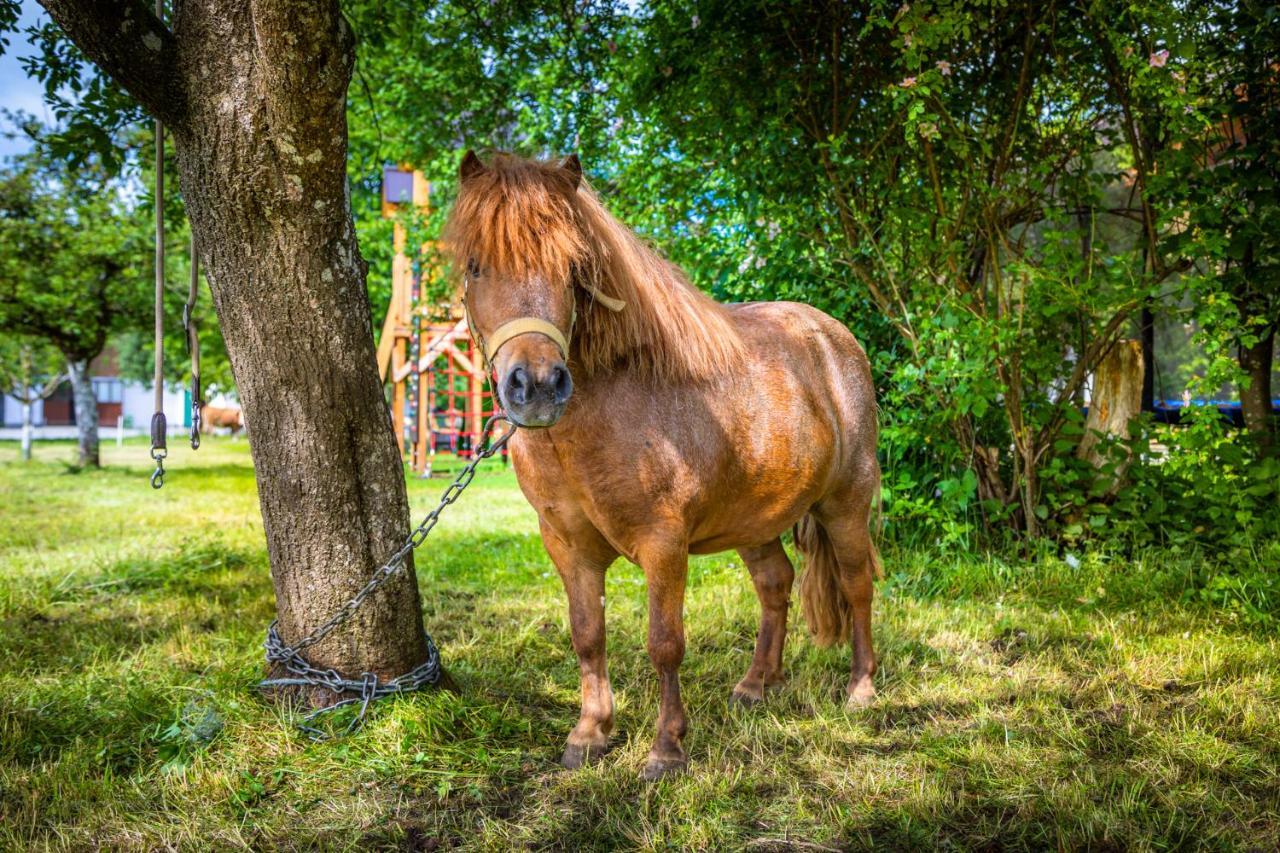 Biohof Untergrabenbauer Lägenhet Lidaun Exteriör bild